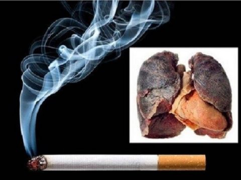 Hút thuốc lá ảnh hưởng đến phối
