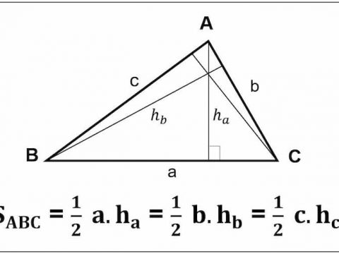 Chi tiết công thức tính diện tích tam giác đầy đủ, chính xác nhất